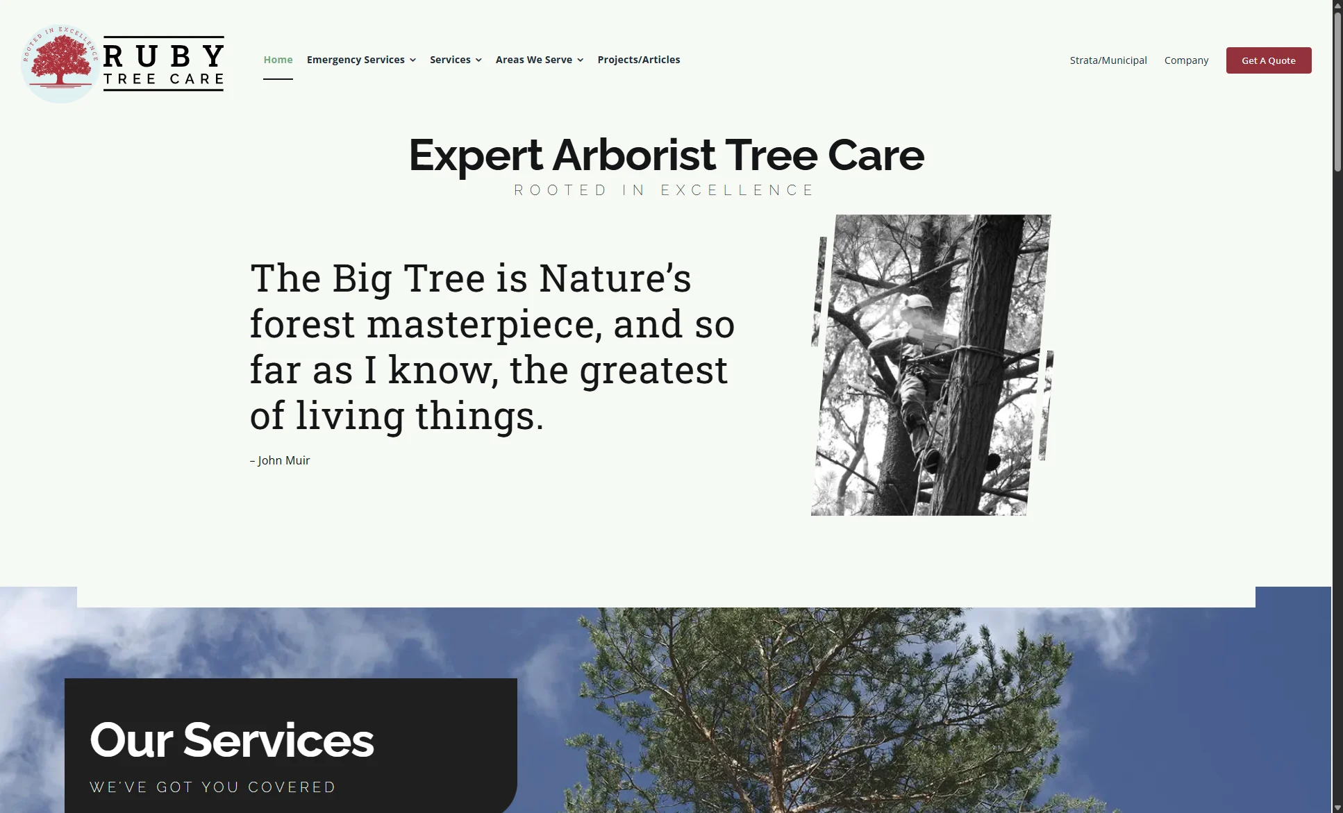 Ruby Tree Care Hero Joomla copy